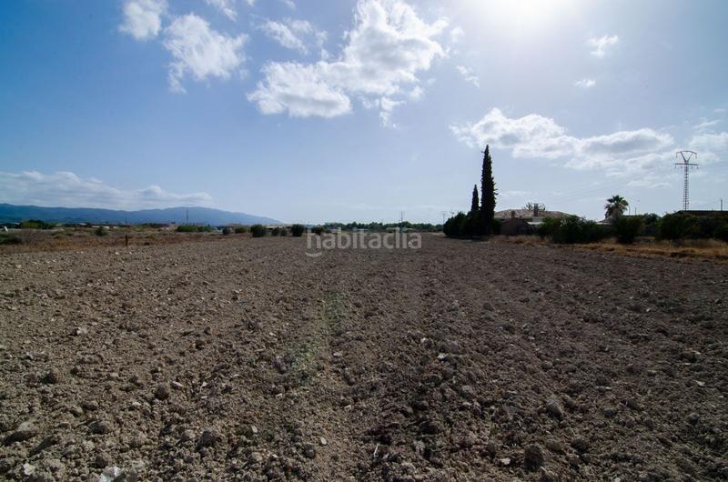 Foto 79735353-fd62-4436-9806-659ccde26c9e. Wohngrundstück in paraje fin de padilla in Era Alta Murcia