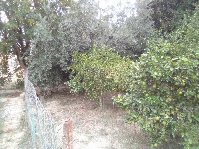 Foto 0ad6ba0c-e7f5-4ad5-8c80-2ccd2ed868e1. Residential plot in comunidad in Los Dolores Murcia