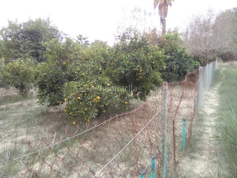 Foto 14360860-c402-4f62-a4e6-3970cd9513fe. Residential plot in comunidad in Los Dolores Murcia