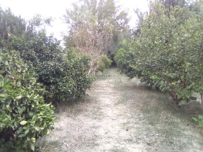 Foto cab725ea-7dae-4b79-86d7-c773a6e1130b. Residential plot in comunidad in Los Dolores Murcia