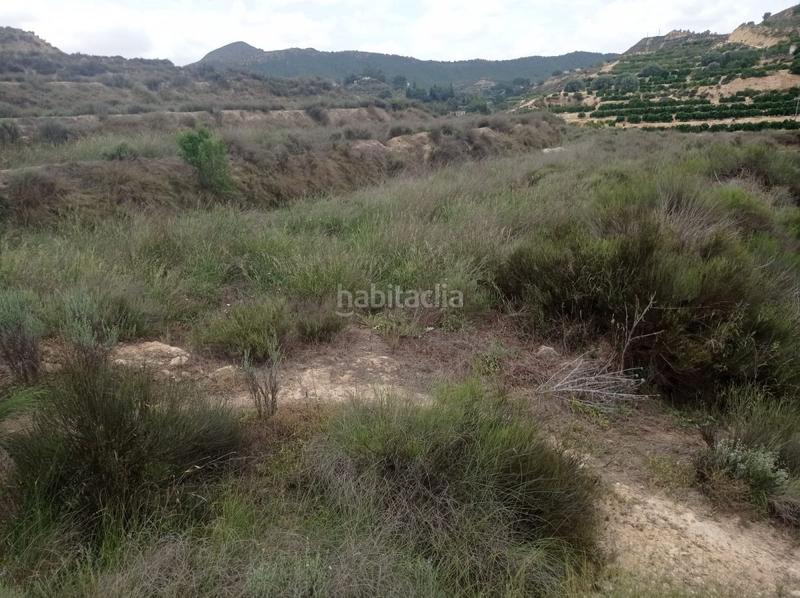 Foto ba290ec6-85cb-4b28-bd04-feb37de11351. Terreno residencial parc. rúst. en venta en monte. en Murcia
