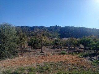 Terreny residencial a Garres y Lages. Parcela en venta en huerta.