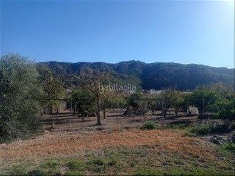 Foto 9d619a44-b56c-48c8-8fac-33550f2ed346. Wohngrundstück in Garres y Lages Murcia