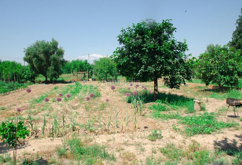 Foto 105d14d5-4e3e-4a5c-9d06-c7fbe9a8ef90. Terreno residencial en huerto alix 50 parcela en venta en b del progreso. en Murcia