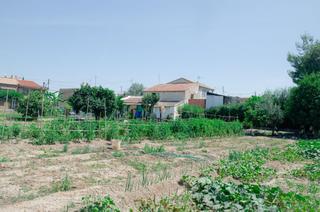 Terrain résidentiel à Huerto alix 50. Parcela en venta en b del progreso.