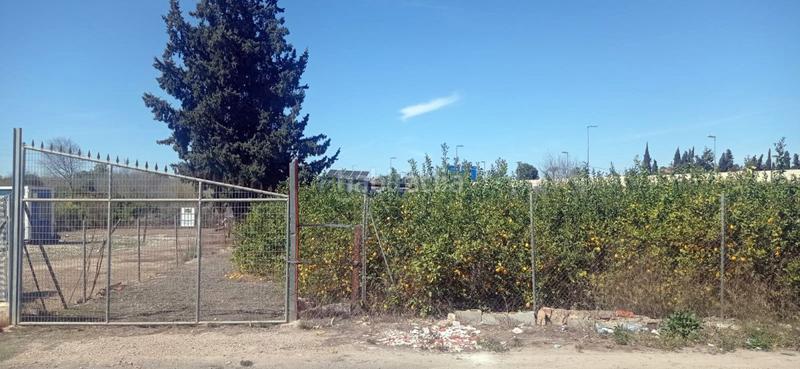 Foto 2ff2f619-27c3-40e4-85f9-f72bfc0c79bc. Wohngrundstück in Guadalupe Murcia