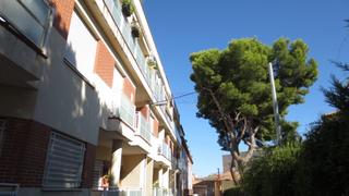 Alquiler Piso  Madre maria seiquer 8. Piso en alquiler en centro, 2 dormitorios.