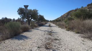 Mas  Paraje cerezo parcela 10 poligo 1. Finca rúst. en venta en campos del rio.