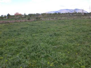 Terreny residencial a Caravaca de la Cruz. Fincaparcela en venta navares  caravaca de la cruz