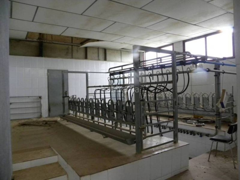Foto 48937e8d-5f12-4ff2-b193-48edf95f6fd1. Industrial building in Caravaca de la Cruz