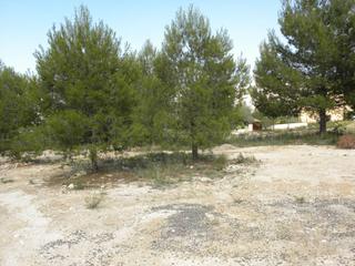 Terreny residencial  El llano. Parcela en venta en caravaca de la cruz