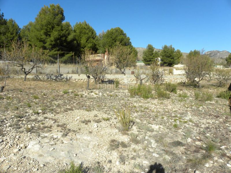 Foto 047dd06e-6c3f-481d-9221-6d8e503f1f9e. Residential plot in Caravaca de la Cruz