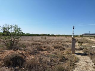 Finca rústica a Caravaca de la Cruz. Parcela en venta en barranda