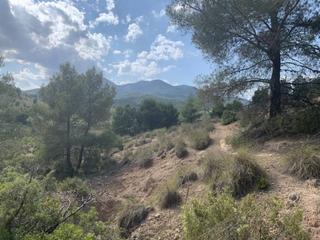 Finca rústica  Coto de genaro. Finca rustica en venta en caravaca de la cruz