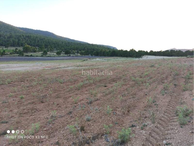 Foto 08456b38-1cf8-4570-a6eb-2f33dd4c2b79. Landgut in Moratalla