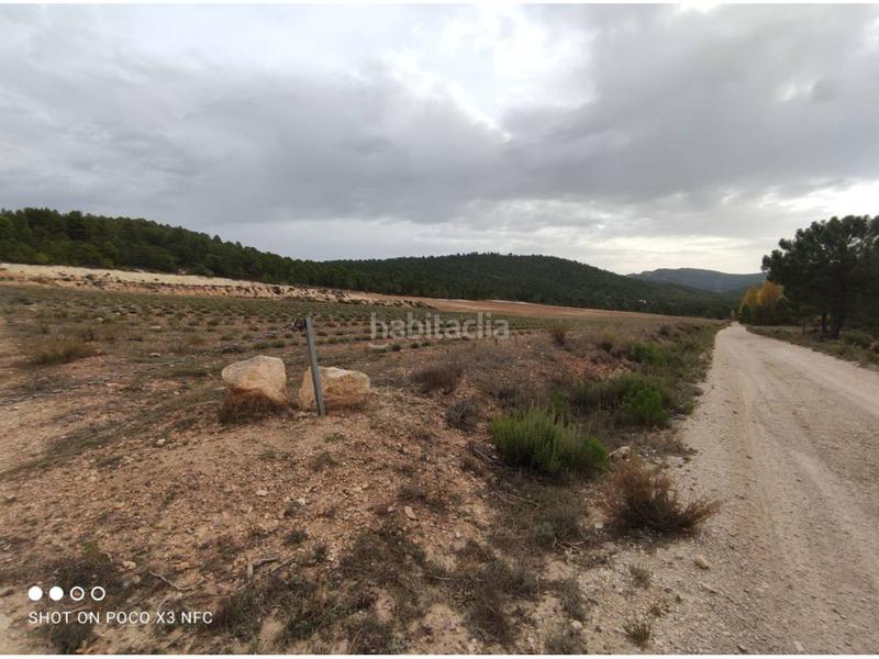 Foto 117a370e-f9c7-48ff-b67e-79d7af2bd138. Landgut in Moratalla