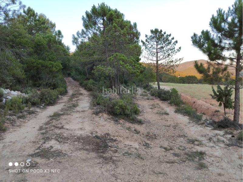 Foto 3e4a779f-d226-4081-80a0-cc6ec3ed76c8. Landgut in Moratalla