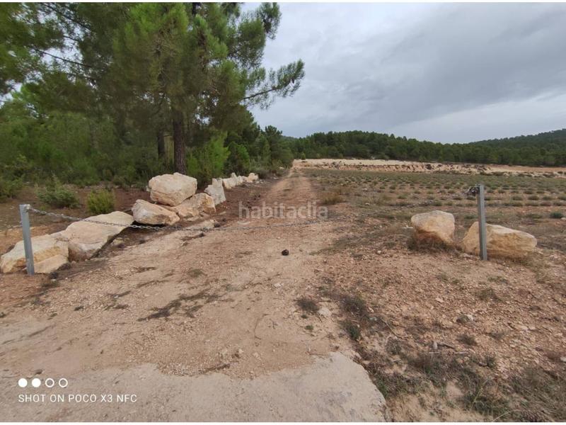 Foto 4d12e068-4c65-4fc9-899f-d19d83d025f5. Landgut in Moratalla