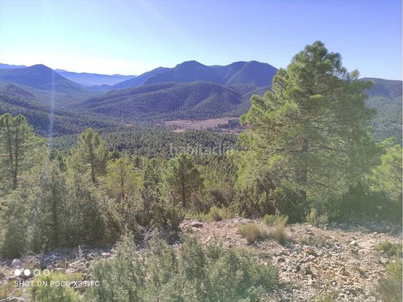 Foto 575d31b4-edb7-4c17-ba70-171128d90c1d. Landgut in Moratalla