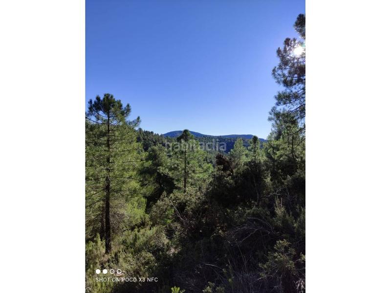 Foto 5dba29ab-3d89-420b-bd59-d3c326af8e0b. Landgut in Moratalla