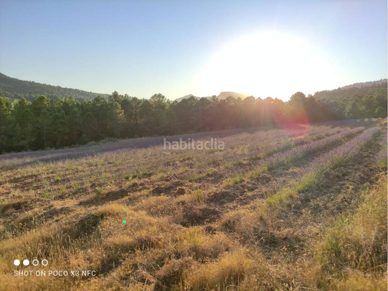 Foto 6b05ed58-fa64-429d-b011-cb646e18df63. Landgut in Moratalla