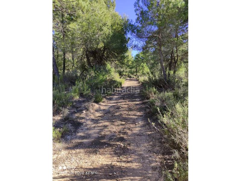 Foto 77ee7529-350f-45c0-95e5-5b80d4ede40b. Landgut in Moratalla