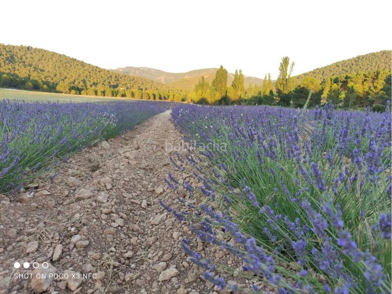 Foto 81965621-cec5-42d9-b0c1-26ee7aa3f26c. Landgut in Moratalla