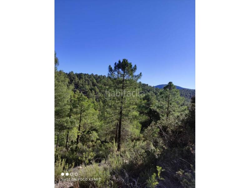 Foto 9ce12f94-378b-47d1-a722-1a3bdf3c5333. Landgut in Moratalla