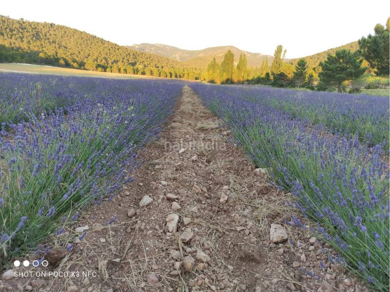 Foto a96df1d2-8178-4ad4-9247-1fae6b6178bf. Landgut in Moratalla