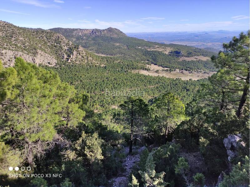 Foto aa258d72-38e1-4e91-8d54-f18d77ecf684. Landgut in Moratalla