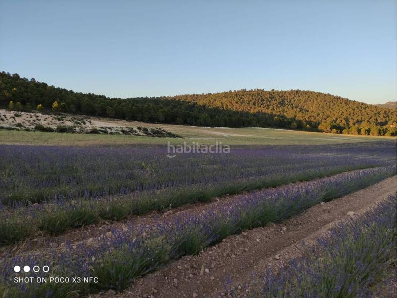 Foto b69b5b3d-c095-4506-9cf9-c8cff386e212. Landgut in Moratalla