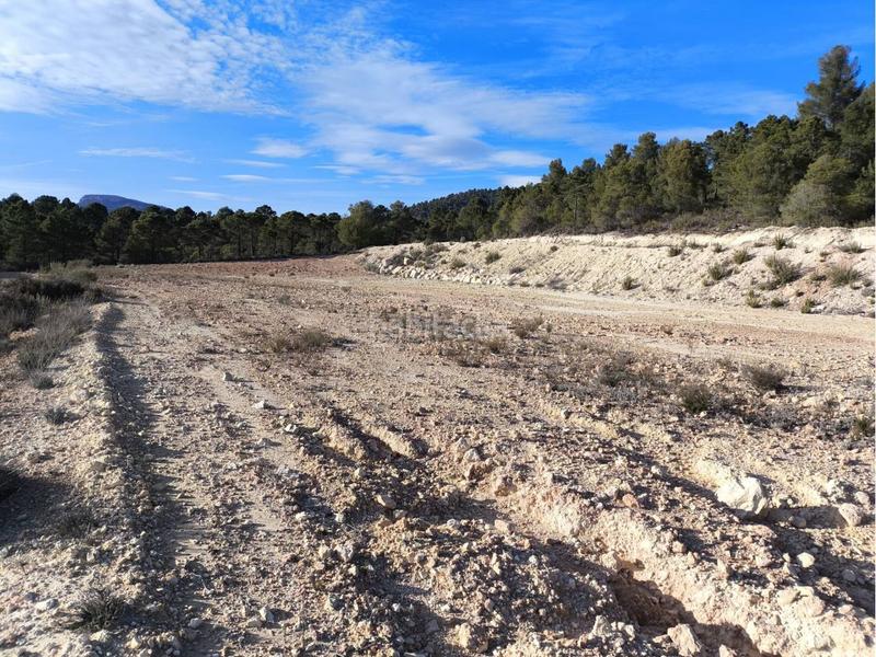 Foto fcc5b631-a0eb-4c9d-9e6d-d4d54d1fbf38. Landgut in Moratalla