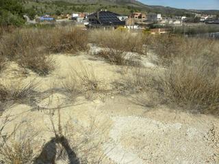 Terreny residencial  Vial. Parcela en venta en caravaca de la cruz
