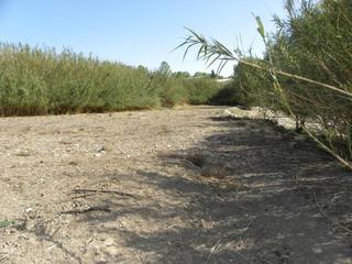 Terreny residencial  La fuentecica. Parcela en venta en caravaca de la cruz