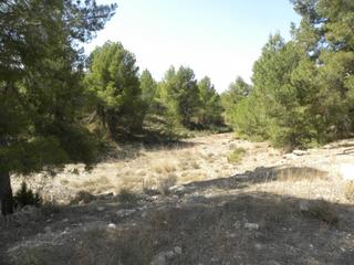 Finca rústica  Llano de béjar. Terreno en venta en urbanizaciones