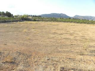 Terreny residencial a Caravaca de la Cruz. Terreno en venta en pedanias y noroeste