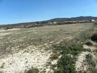 Terreny residencial  (encar)prados. Parcela en venta en pedanias y noroeste