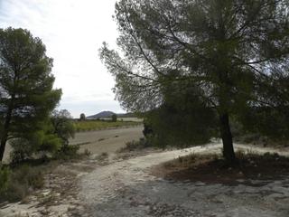 Finca rústica a Caravaca de la Cruz. Terreno en venta en urbanizaciones