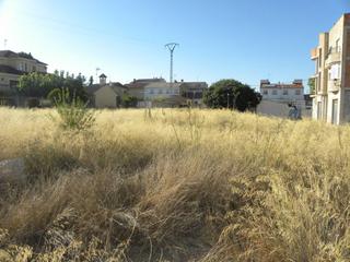 Industrial plot  Tr (barr)cr.singl2 s/ue/lo. Solar en venta en pedanias y noroeste
