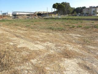 Industrial plot  Tr (barr)cr.singl2 s/ue/lo. Solar en venta en pedanias y noroeste