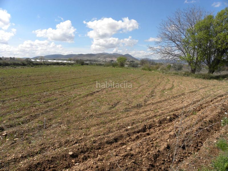 Foto 641865be-5074-43f4-984b-79f279e89081. Finca rústica a Caravaca de la Cruz