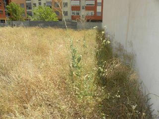 Terreno residenziale in Caravaca de la Cruz. Solar en venta en caravaca de la cruz