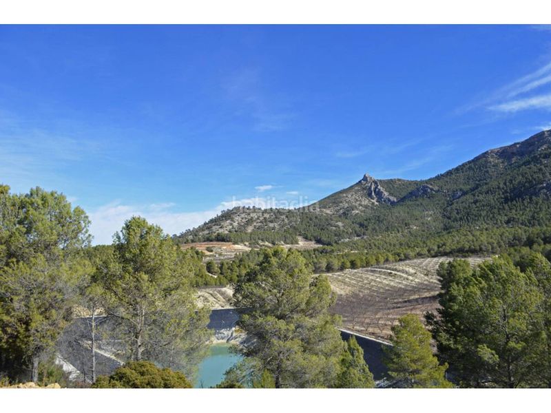 Foto 4a917c26-9047-4e70-9b5e-f9105fb661c8. Finca rústica a Mula