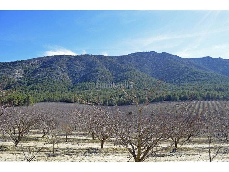 Foto 69ca9486-69b1-47eb-b021-677a424dfad9. Finca rústica a Mula