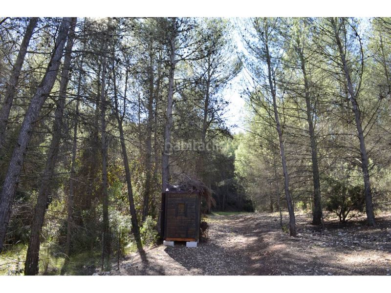 Foto 95439bfa-bdda-4314-b689-d131189438cd. Finca rústica a Mula