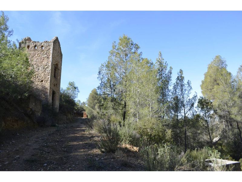 Foto 9f17123c-d31e-45cd-ad96-9d548e991a4f. Finca rústica a Mula