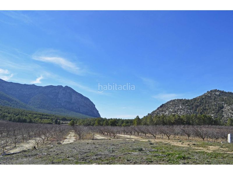 Foto bc73c2d9-772e-4e9f-871a-9001027022c0. Finca rústica a Mula