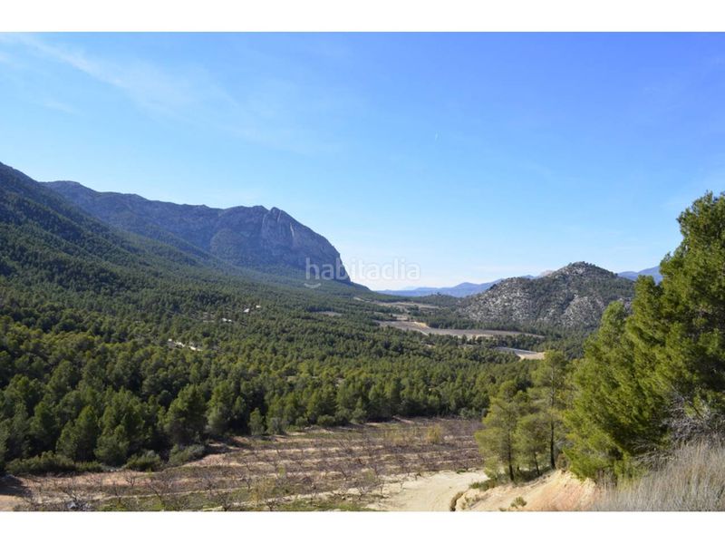 Foto c370ce96-4d7e-4b2a-8137-7b37fc07004d. Finca rústica a Mula