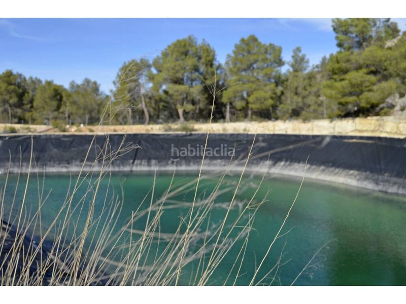 Foto c8de8f89-4c21-4a07-97a6-73d3b1230256. Finca rústica a Mula
