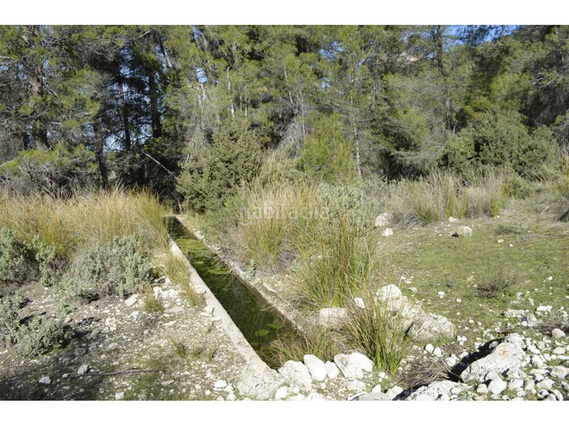 Foto c9fa3434-849f-4d32-96a2-96971f886aca. Finca rústica a Mula
